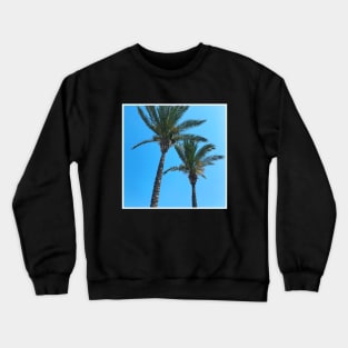 Pretty picture of a Palm Tree. Pretty Palm Trees Photography design with blue sky Crewneck Sweatshirt